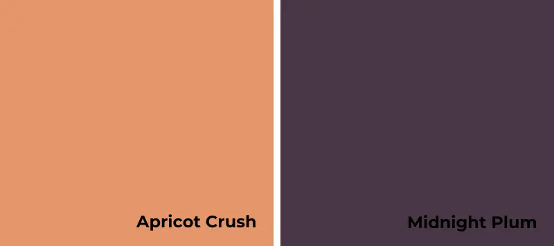 cores 2024-Apricot Crush-Midnight Plum 