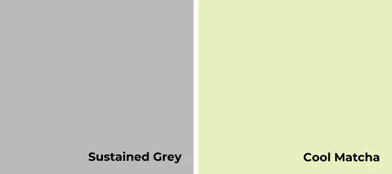 cores 2024-Sustained Grey-Cool Matcha 